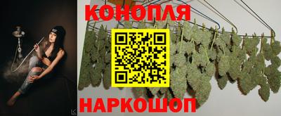 молекула духа Краснознаменск