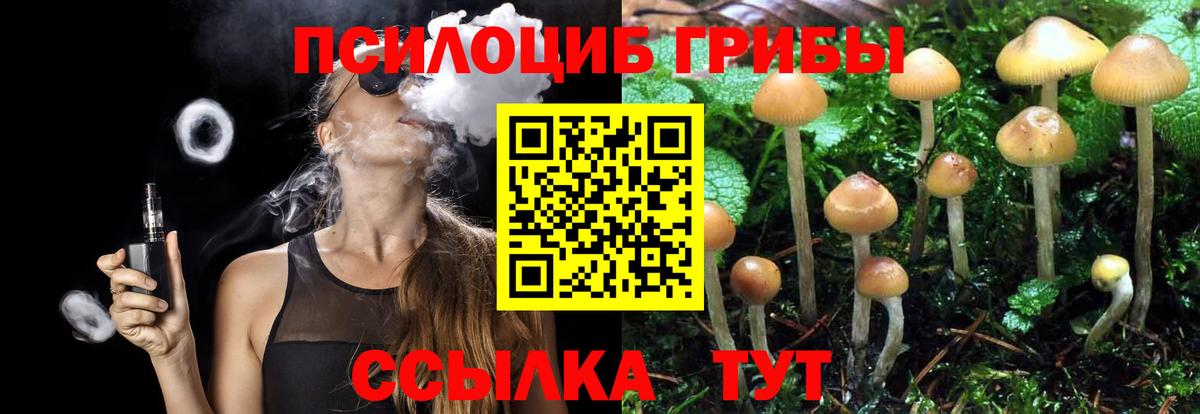 Кемерово  Псилоцибиновые грибы MAGIC MUSHROOMS  Вход с VPN  Псилоцибиновые грибы ЛСД 